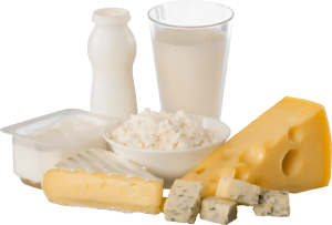 dairy products