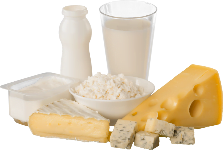 dairy products