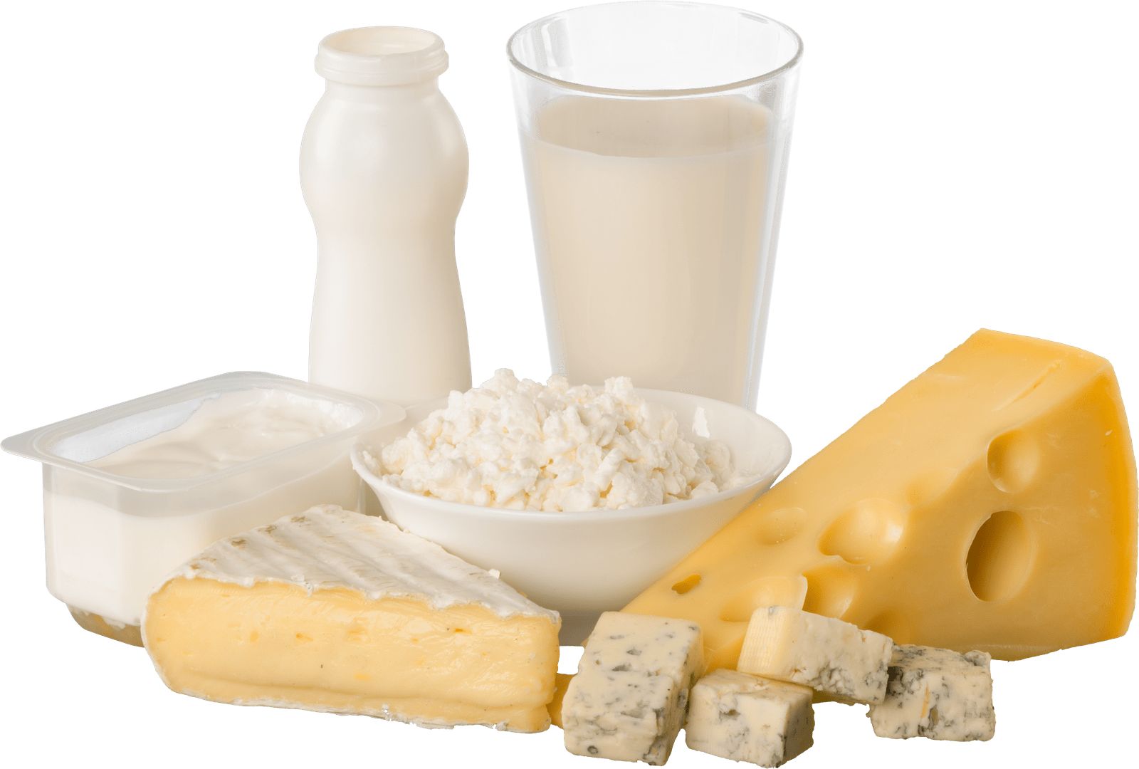 dairy products