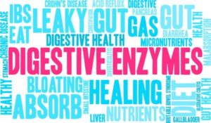 Digestive Enzymes word cloud