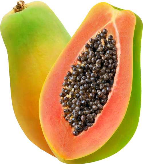 Papaya Fruit