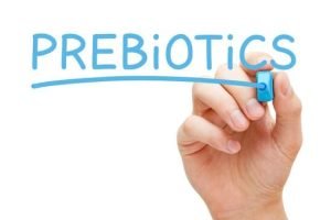 Prebiotics