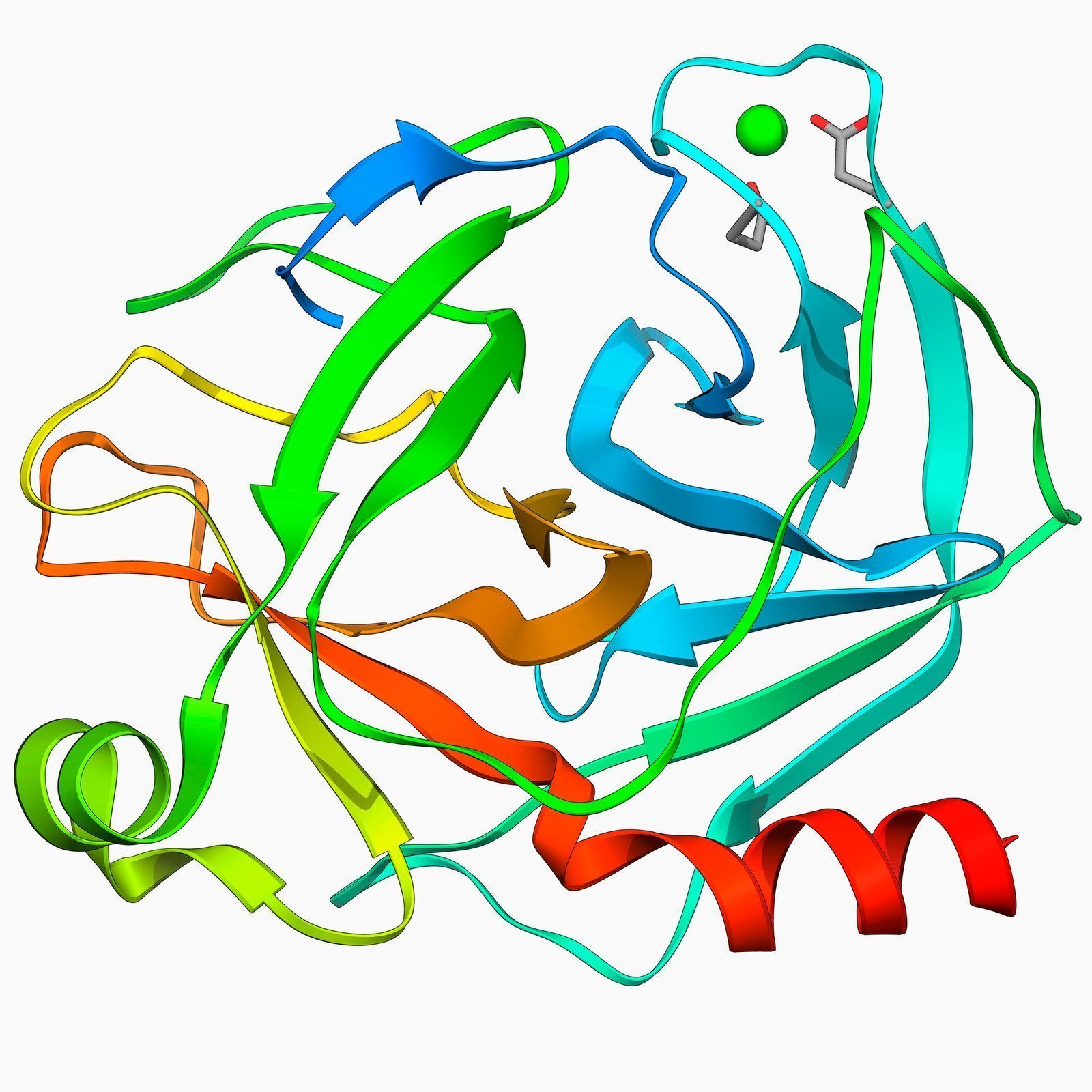 Protease enzyme