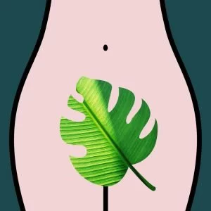 Potassium Alum And Its Uses For Vaginal Health
