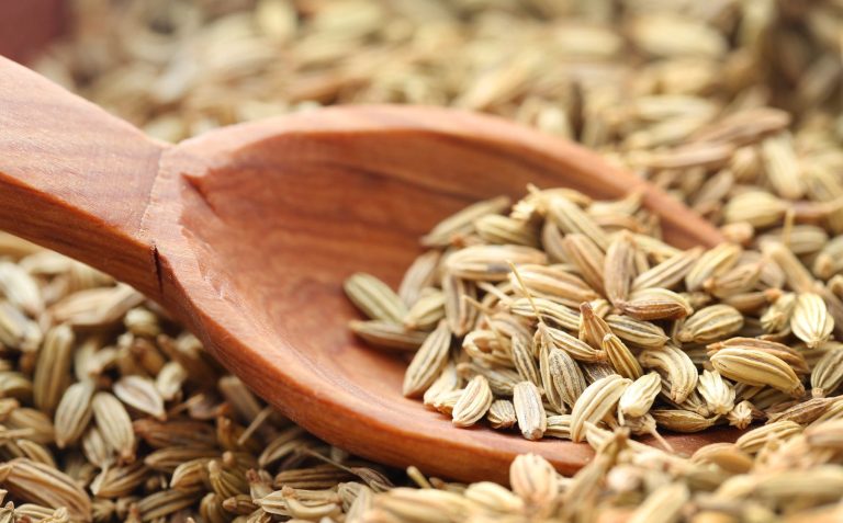 boost digestion naturally with fennel seeds