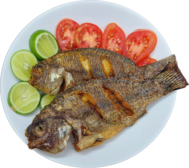 fish