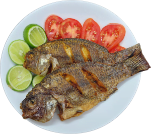 fish