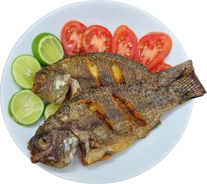 fish