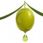 squalane from olive oil