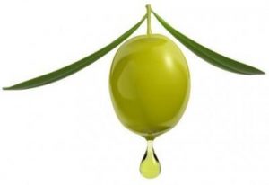 squalane from olive oil